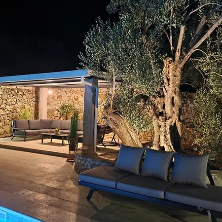Olive Tree - House With Pool