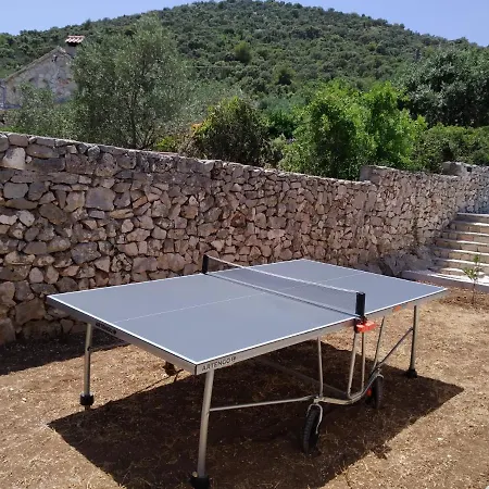 Olive Tree - House With Pool