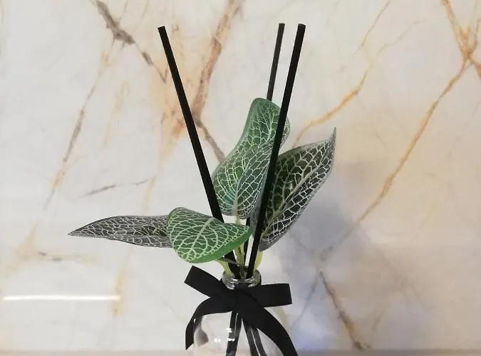 Vakantiehuis Olive Tree - House With Pool